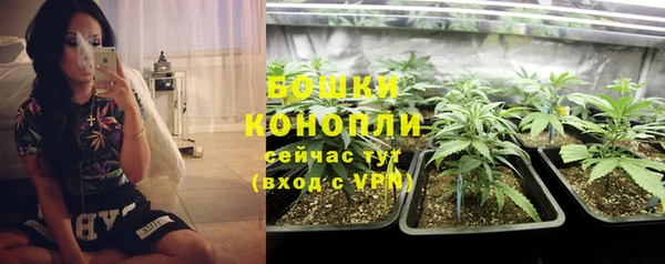 ешки Верхний Тагил