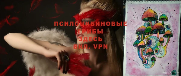 ешки Верхний Тагил